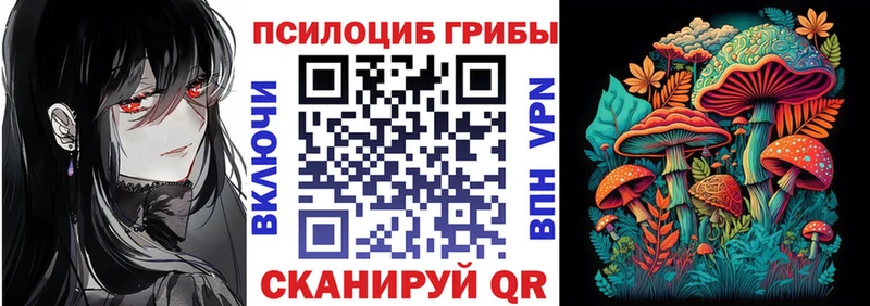 мега как зайти  сколько стоит  Петухово  Галлюциногенные грибы GOLDEN TEACHER 